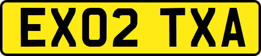 EX02TXA