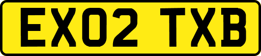 EX02TXB
