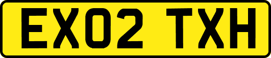 EX02TXH