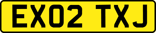 EX02TXJ