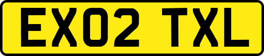 EX02TXL