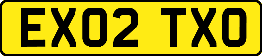 EX02TXO