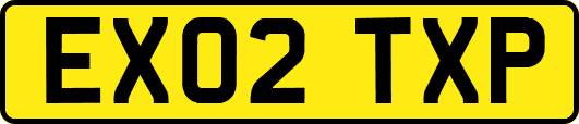 EX02TXP