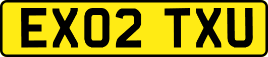 EX02TXU