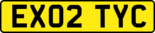 EX02TYC