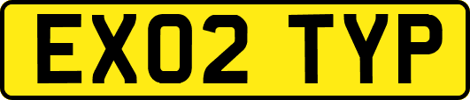 EX02TYP