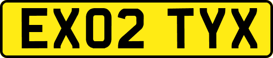 EX02TYX