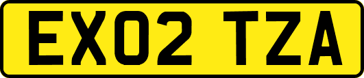 EX02TZA