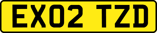 EX02TZD