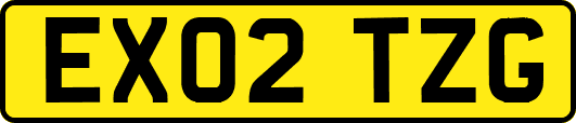 EX02TZG