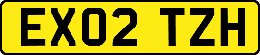 EX02TZH