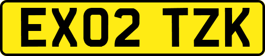 EX02TZK