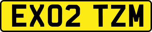 EX02TZM