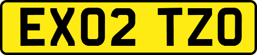 EX02TZO