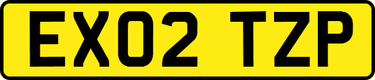 EX02TZP