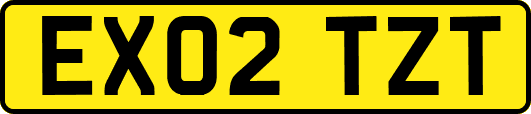 EX02TZT