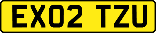 EX02TZU