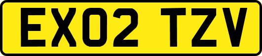 EX02TZV