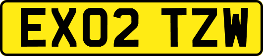 EX02TZW