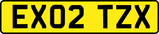 EX02TZX