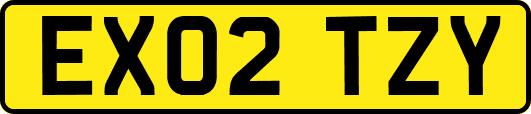 EX02TZY