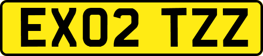 EX02TZZ