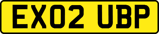 EX02UBP