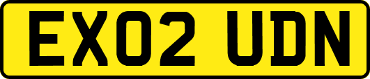 EX02UDN