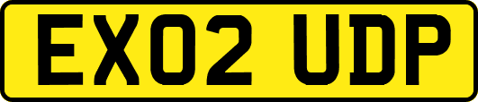 EX02UDP