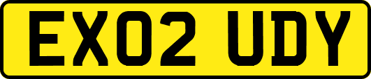 EX02UDY
