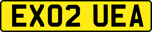 EX02UEA