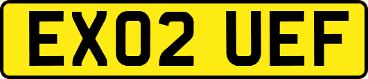 EX02UEF