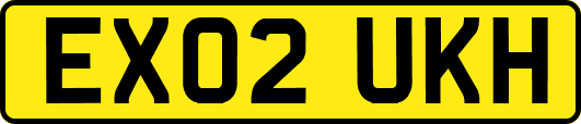 EX02UKH