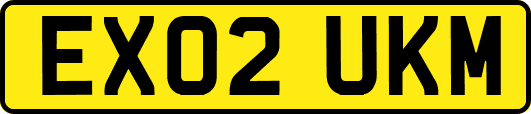 EX02UKM