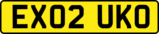 EX02UKO