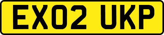 EX02UKP