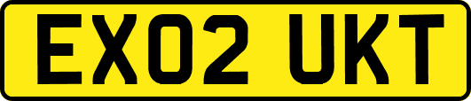 EX02UKT