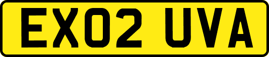 EX02UVA