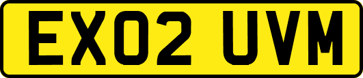 EX02UVM