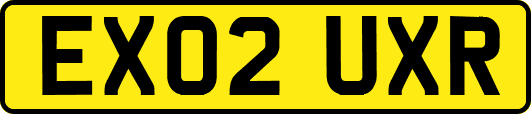 EX02UXR