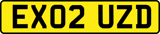 EX02UZD