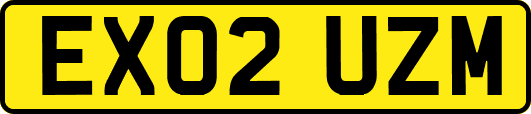 EX02UZM