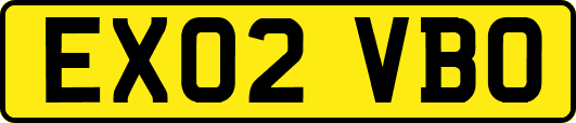EX02VBO