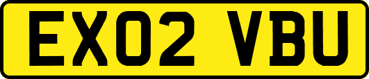 EX02VBU