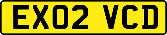 EX02VCD