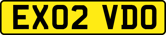 EX02VDO