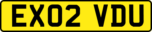 EX02VDU