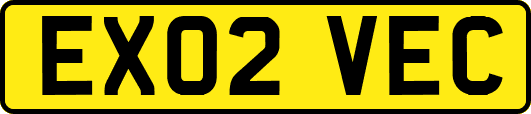 EX02VEC