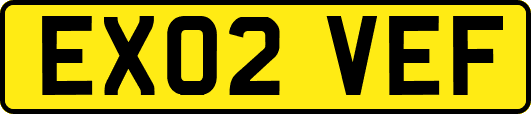 EX02VEF