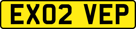 EX02VEP